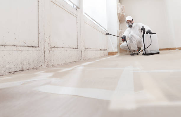 24/7 Emergency Attic Mold Remediation experts in Frankfort, KY